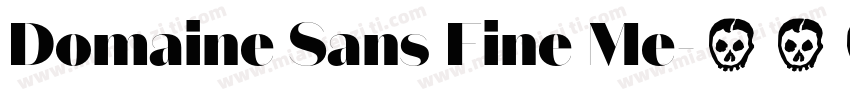 Domaine Sans Fine Me字体转换